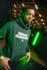 Hoodie Guardians grün